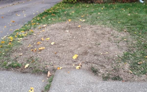 Stump Assassins Yardwork Inc.