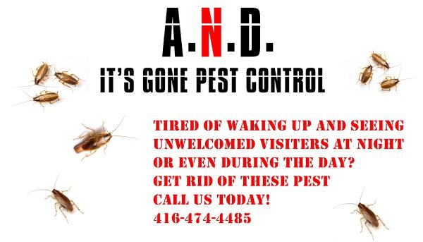 A.n.d. It's Gone Pest Control Inc.