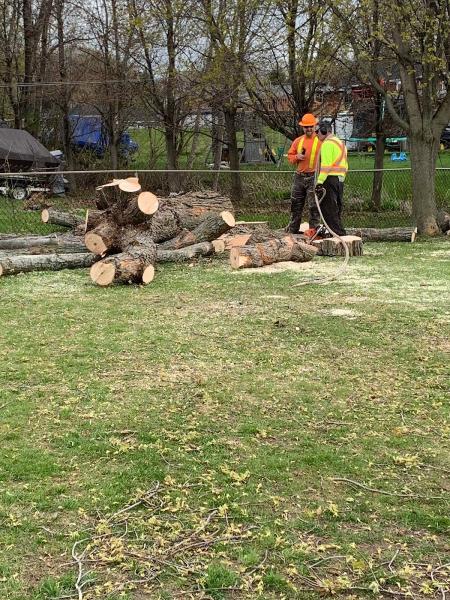 Sideline Tree Service