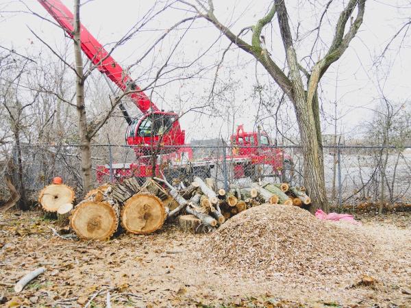 Wing's Tree Service