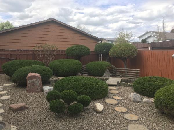 4season's Landscaping Services Inc.