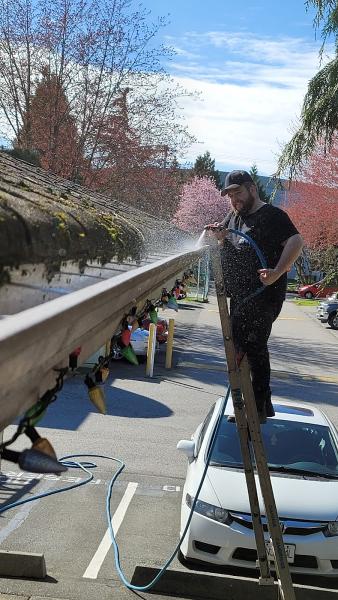 Black Bear Maintenance