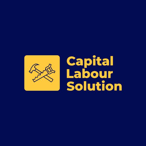 Capital Labour Solution