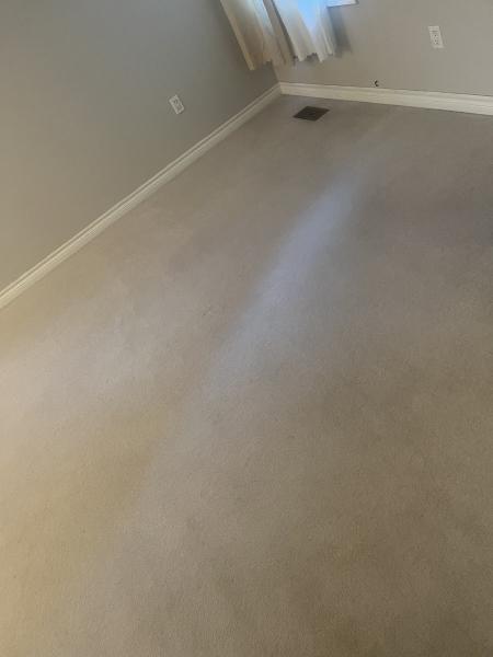 Carpet Steam Cleaning GTA