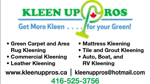 Kleen Up Pros