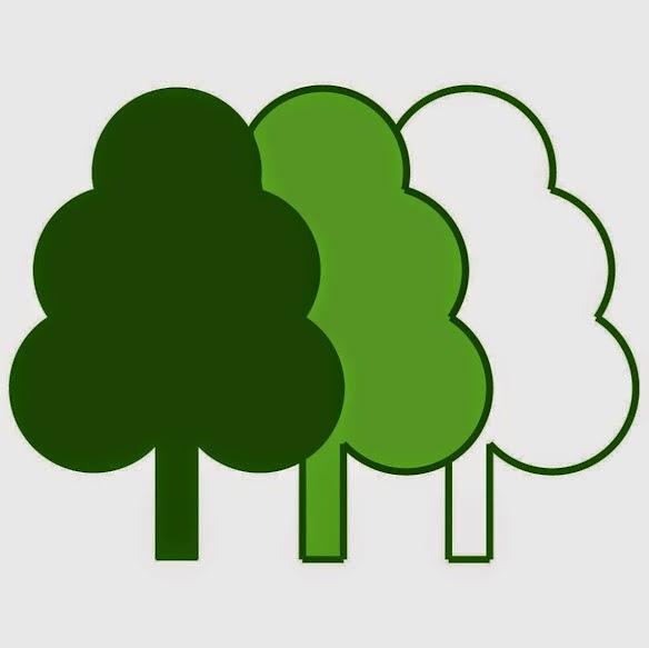 Evergreen Plant Care