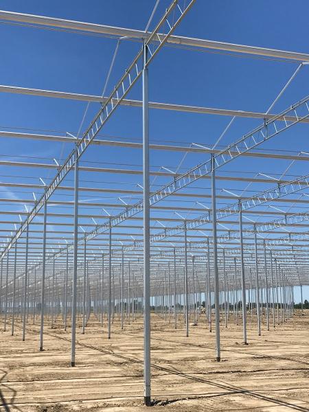 Ruthven Greenhouse Construction