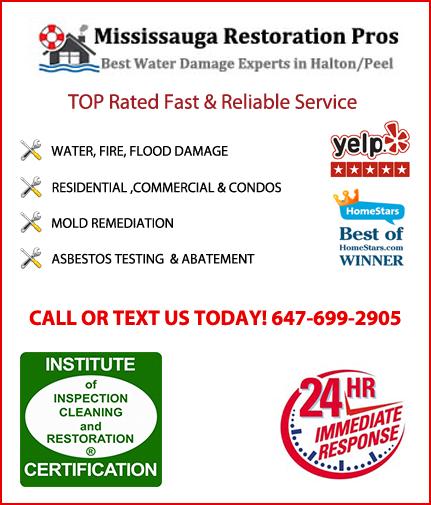Mississauga Restoration Pros