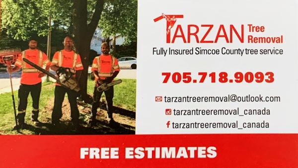 Tarzan Tree Removal