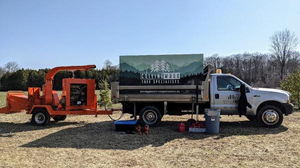 Collingwood Tree Specialists