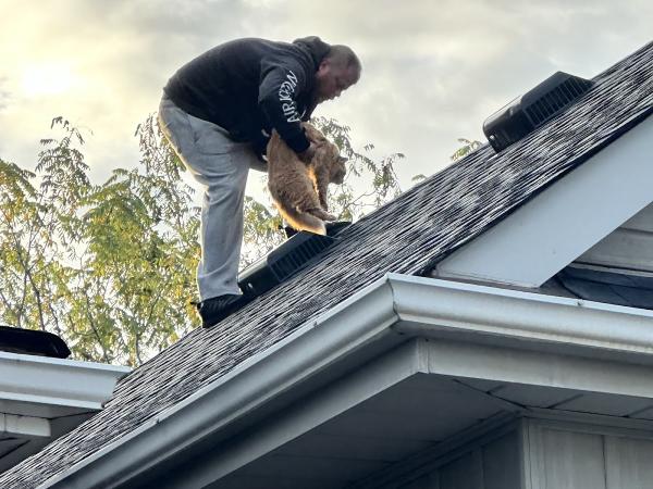 Newfoundland Roofers