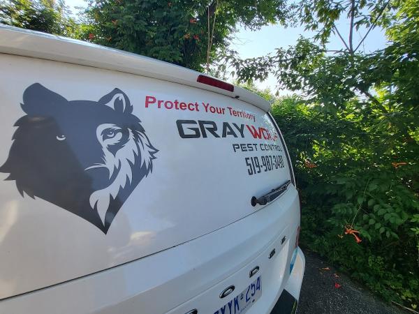 Gray Wolf Pest Control