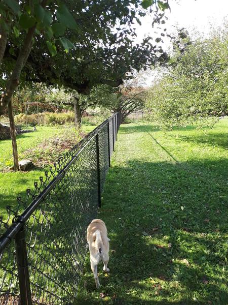 Built Wright Fencing