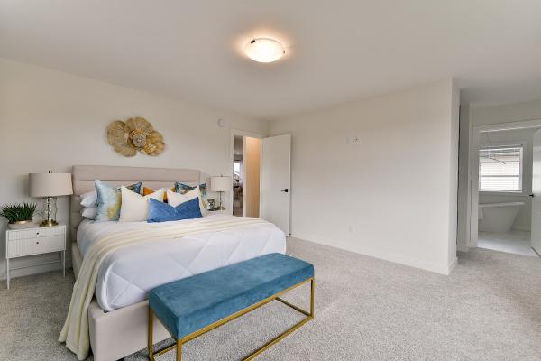 Timely Staging & Design