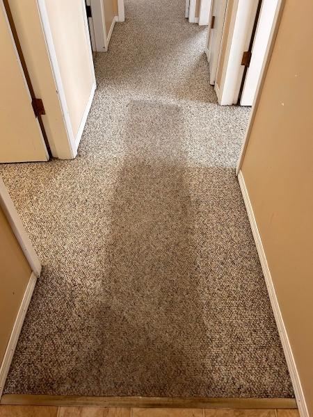 Maple Leaf Carpet Cleaning