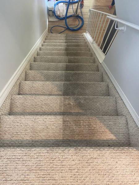 Maple Leaf Carpet Cleaning