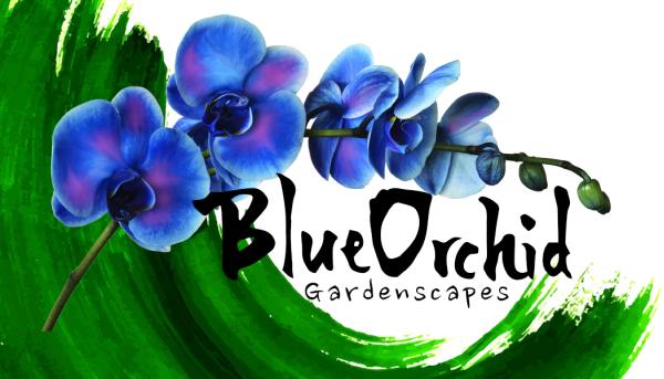 Blue Orchid Gardenscapes