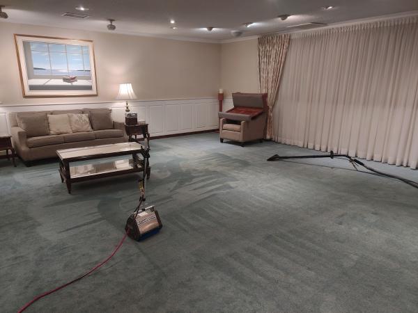 From Dark To Light Carpet & Upholstery Care