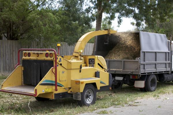 Forestwood Tree Service