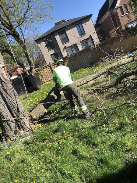 Forestwood Tree Service