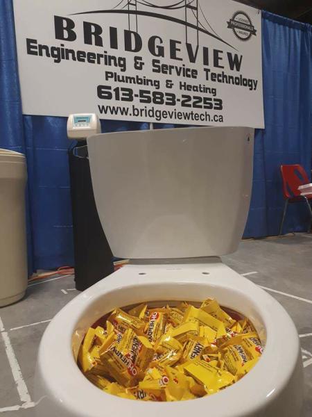 Bridgeview Tech Inc