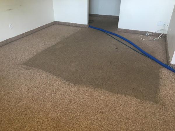 Merit Carpet Cleaning