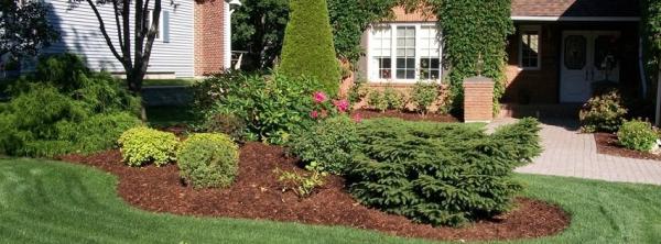 Wetmore's Landscaping Sod & Nursery Ltd