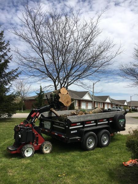 Arbor Borealis Tree Service