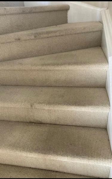 APO Carpet and Upholstery Cleaning