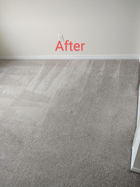 APO Carpet and Upholstery Cleaning