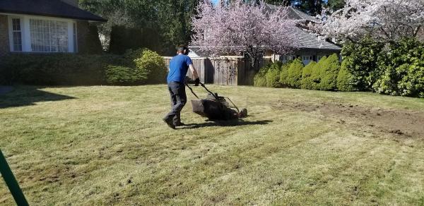 Grass Dragon Enterprises Ltd.