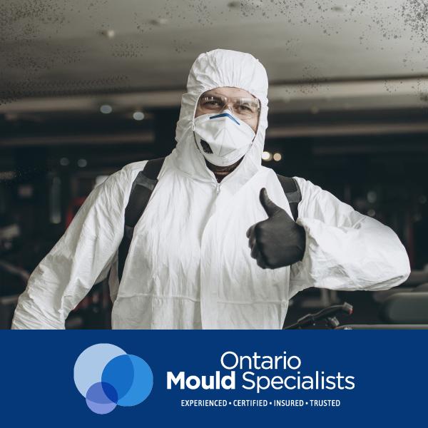 Ontario Mould & Restoration Specialists