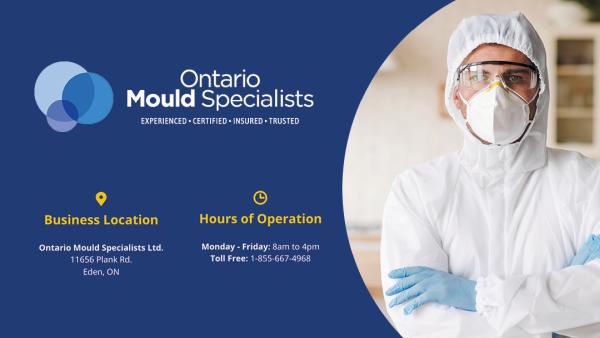 Ontario Mould & Restoration Specialists