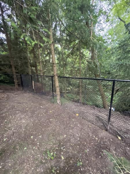 Williams Contracting & Maintenance