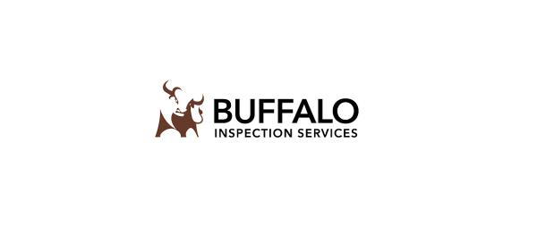 Buffalo Inspection Services