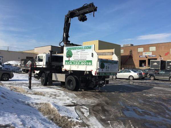 Service d'Entretien d'Arbres Viau