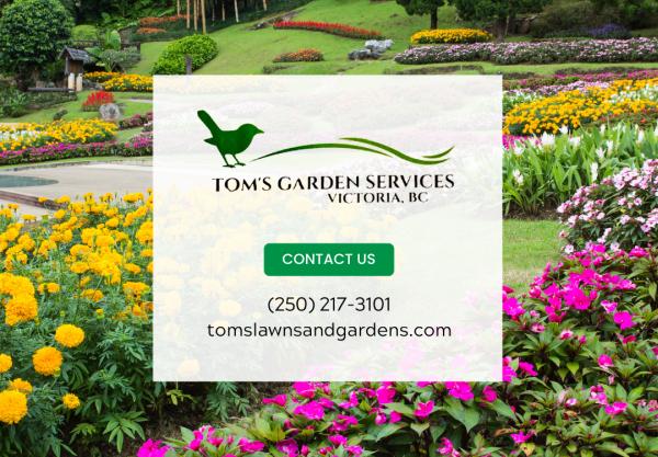 Tom's Garden Services