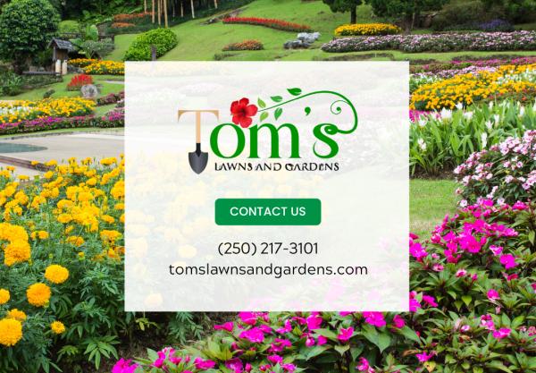 Tom's Garden Services