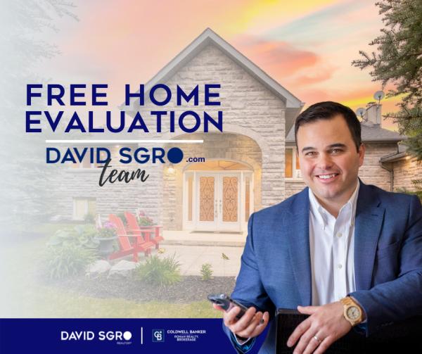 David Sgro Real Estate