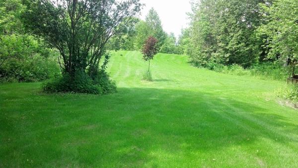 Elstone Property Maintenance Hydroseeding and Lawn Care