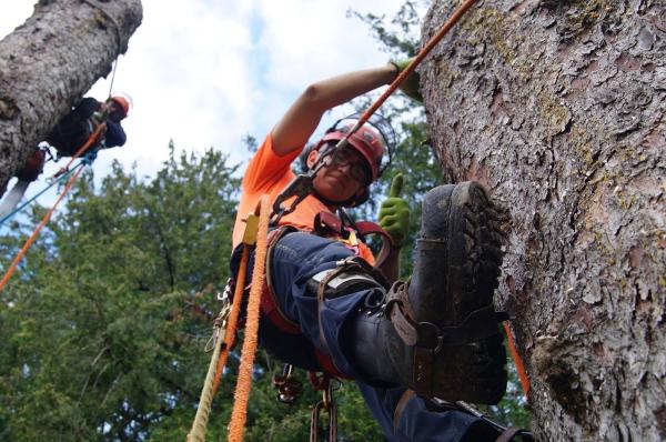 Joe Skillen Tree Services Ltd.