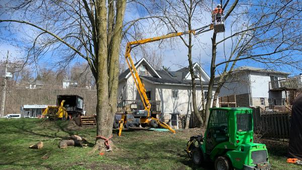 Jl's Tree Service