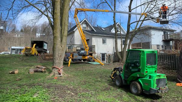 Jl's Tree Service