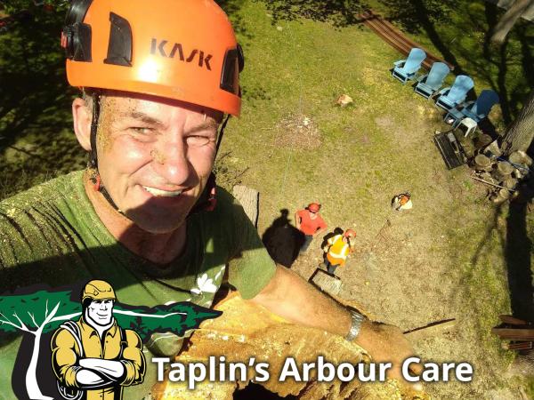 Taplins Arbor Care