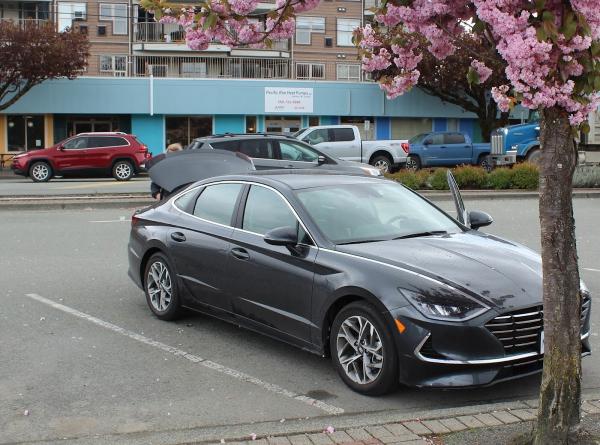 Pacific Rim Heat Pumps