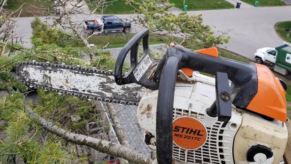 Branchbusters Expert Tree Care