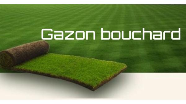 Gazon Bouchard