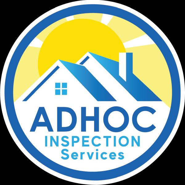 Adhoc Inspection Services