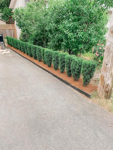 Charbrook Landscaping