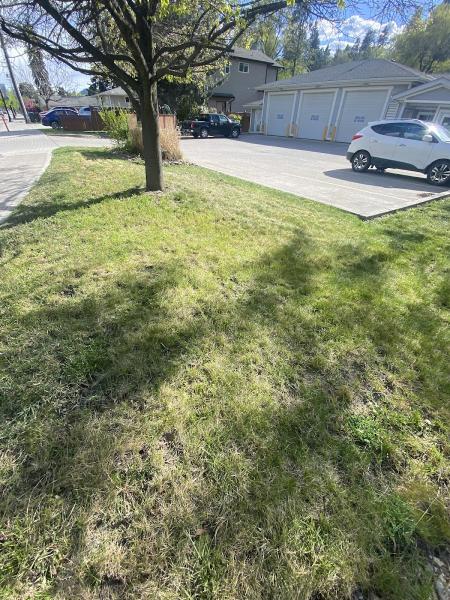 Lake Country Landscaping